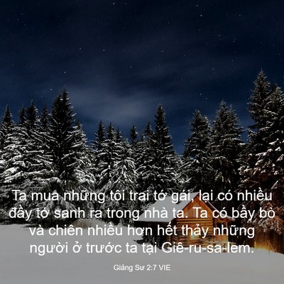 Picture 03 - Giảng Sư 2:7 VIE - Ta mua những tôi trai tớ gái, lại có - Bible Verse Picture