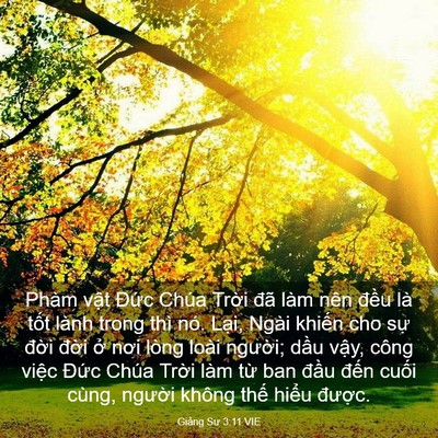 Picture 03 - Giảng Sư 3:11 VIE - Phàm vật Đức Chúa Trời đã làm nên - Bible Verse Picture