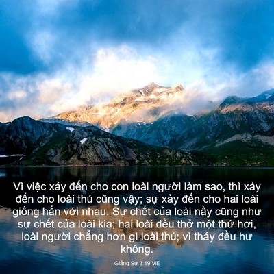 Picture 03 - Giảng Sư 3:19 VIE - Vì việc xảy đến cho con loài người - Bible Verse Picture