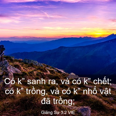 Picture 03 - Giảng Sư 3:2 VIE - Có k” sanh ra, và có k” chết; có k” - Bible Verse Picture
