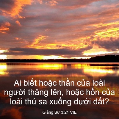 Picture 03 - Giảng Sư 3:21 VIE - Ai biết hoặc thần của loài người - Bible Verse Picture