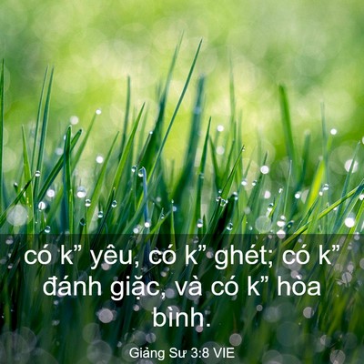 Picture 03 - Giảng Sư 3:8 VIE - có k” yêu, có k” ghét; có k” đánh - Bible Verse Picture
