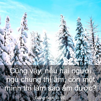 Picture 03 - Giảng Sư 4:11 VIE - Cũng vậy, nếu hai người ngủ chung thì - Bible Verse Picture