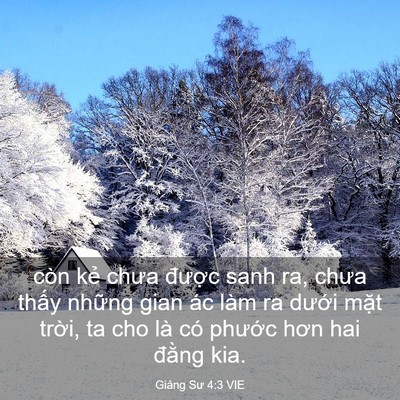 Picture 03 - Giảng Sư 4:3 VIE - còn kẻ chưa được sanh ra, chưa thấy - Bible Verse Picture
