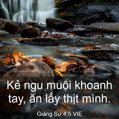 Picture 03 - Giảng Sư 4:5 VIE - Kẻ ngu muội khoanh tay, ăn lấy thịt - Bible Verse Picture