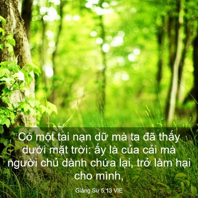 Picture 03 - Giảng Sư 5:13 VIE - Có một tai nạn dữ mà ta đã thấy - Bible Verse Picture