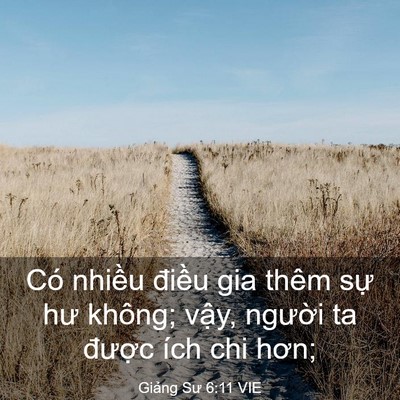 Picture 03 - Giảng Sư 6:11 VIE - Có nhiều điều gia thêm sự hư không; - Bible Verse Picture