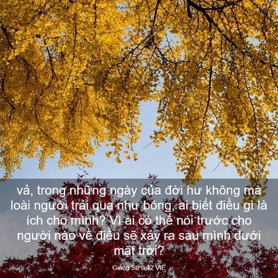 Picture 03 - Giảng Sư 6:12 VIE - vả, trong những ngày của đời hư không - Bible Verse Picture