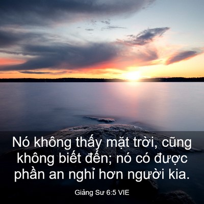 Picture 03 - Giảng Sư 6:5 VIE - Nó không thấy mặt trời, cũng không - Bible Verse Picture