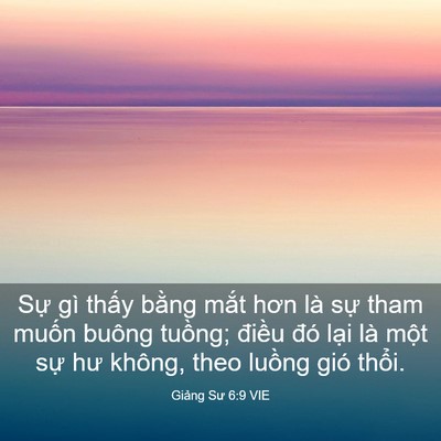 Picture 03 - Giảng Sư 6:9 VIE - Sự gì thấy bằng mắt hơn là sự tham - Bible Verse Picture