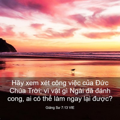 Picture 03 - Giảng Sư 7:13 VIE - Hãy xem xét công việc của Đức Chúa - Bible Verse Picture