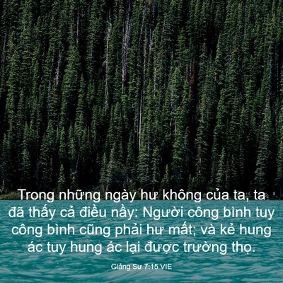 Picture 03 - Giảng Sư 7:15 VIE - Trong những ngày hư không của ta, ta đã - Bible Verse Picture