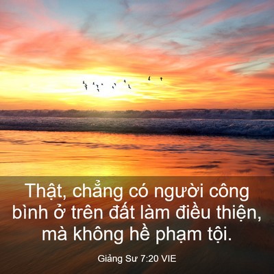 Picture 03 - Giảng Sư 7:20 VIE - Thật, chẳng có người công bình ở - Bible Verse Picture