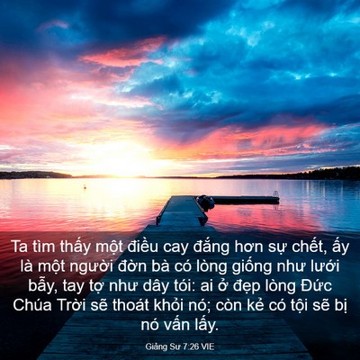 Picture 03 - Giảng Sư 7:26 VIE - Ta tìm thấy một điều cay đắng hơn - Bible Verse Picture