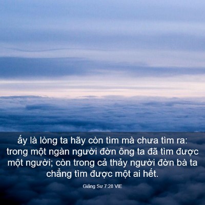 Picture 03 - Giảng Sư 7:28 VIE - ấy là lòng ta hãy còn tìm mà chưa tìm - Bible Verse Picture