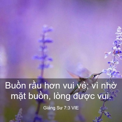 Picture 03 - Giảng Sư 7:3 VIE - Buồn rầu hơn vui vẻ; vì nhờ mặt - Bible Verse Picture