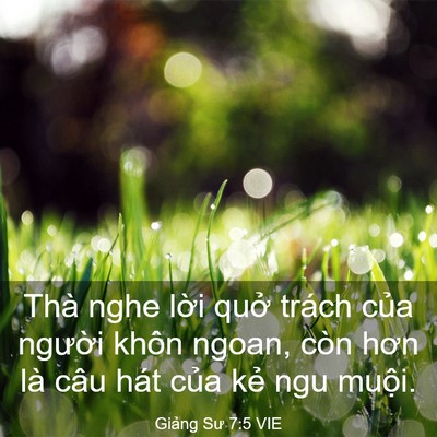 Picture 03 - Giảng Sư 7:5 VIE - Thà nghe lời quở trách của người khôn - Bible Verse Picture
