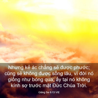 Picture 03 - Giảng Sư 8:13 VIE - Nhưng kẻ ác chẳng sẽ được phước; - Bible Verse Picture