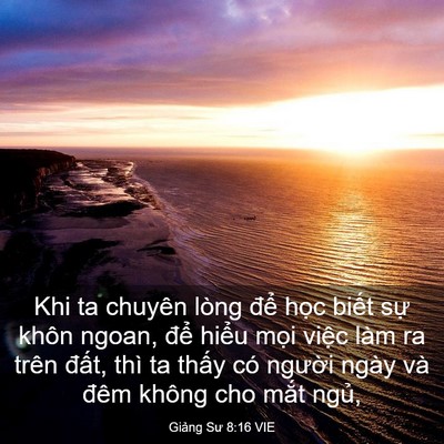 Picture 03 - Giảng Sư 8:16 VIE - Khi ta chuyên lòng để học biết sự - Bible Verse Picture