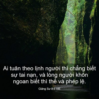 Picture 03 - Giảng Sư 8:5 VIE - Ai tuân theo lịnh người thì chẳng biết - Bible Verse Picture