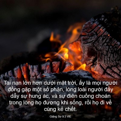 Picture 03 - Giảng Sư 9:3 VIE - Tai nạn lớn hơn dưới mặt trời, ấy - Bible Verse Picture