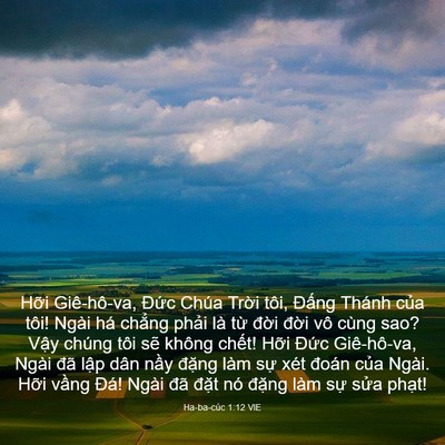 Picture 03 - Ha-ba-cúc 1:12 VIE - Hỡi Giê-hô-va, Đức Chúa Trời tôi, - Bible Verse Picture