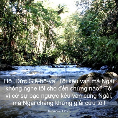 Picture 03 - Ha-ba-cúc 1:2 VIE - Hỡi Đức Giê-hô-va! Tôi kêu van mà Ngài - Bible Verse Picture