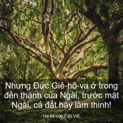 Picture 03 - Ha-ba-cúc 2:20 VIE - Nhưng Đức Giê-hô-va ở trong đền thánh - Bible Verse Picture