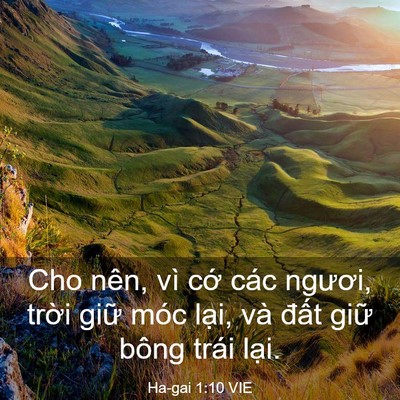 Picture 03 - Ha-gai 1:10 VIE - Cho nên, vì cớ các ngươi, trời giữ - Bible Verse Picture