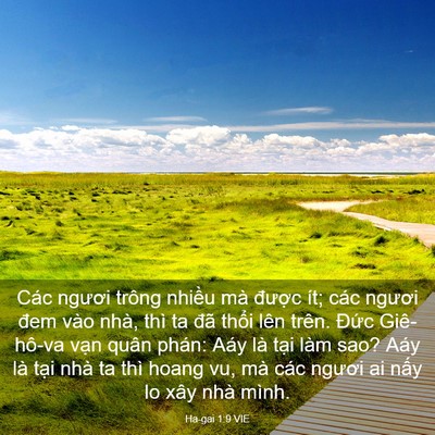Picture 03 - Ha-gai 1:9 VIE - Các ngươi trông nhiều mà được ít; - Bible Verse Picture