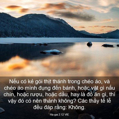 Picture 03 - Ha-gai 2:12 VIE - Nếu có kẻ gói thịt thánh trong chéo - Bible Verse Picture