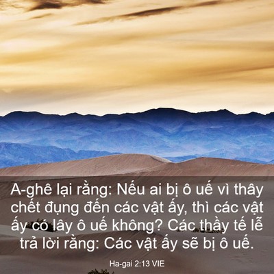 Picture 03 - Ha-gai 2:13 VIE - A-ghê lại rằng: Nếu ai bị ô uế vì - Bible Verse Picture