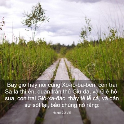 Picture 03 - Ha-gai 2:2 VIE - Bây giờ hãy nói cùng Xô-rô-ba-bên, con - Bible Verse Picture
