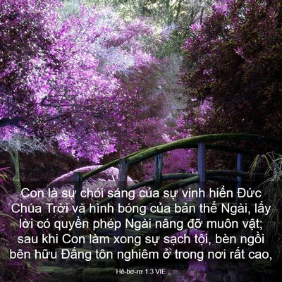 Picture 03 - Hê-bơ-rơ 1:3 VIE - Con là sự chói sáng của sự vinh hiển - Bible Verse Picture