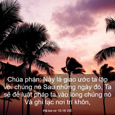 Picture 03 - Hê-bơ-rơ 10:16 VIE - Chúa phán: Nầy là giao ước ta lập với - Bible Verse Picture