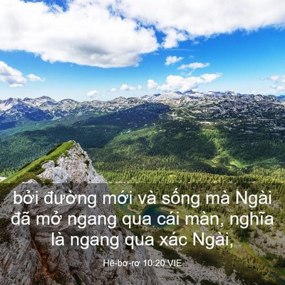 Picture 03 - Hê-bơ-rơ 10:20 VIE - bởi đường mới và sống mà Ngài đã - Bible Verse Picture