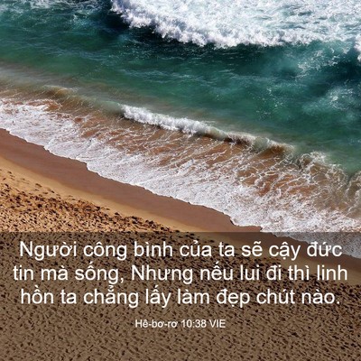Picture 03 - Hê-bơ-rơ 10:38 VIE - Người công bình của ta sẽ cậy đức - Bible Verse Picture