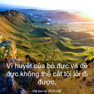 Picture 03 - Hê-bơ-rơ 10:4 VIE - Vì huyết của bò đực và dê đực - Bible Verse Picture