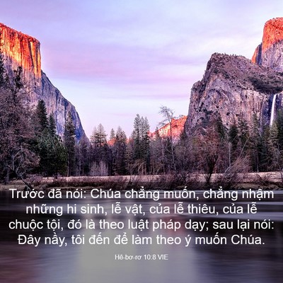 Picture 03 - Hê-bơ-rơ 10:8 VIE - Trước đã nói: Chúa chẳng muốn, chẳng - Bible Verse Picture