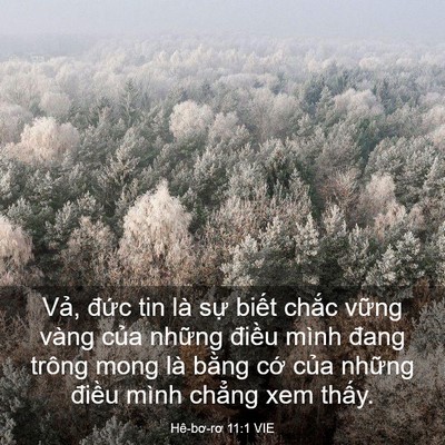 Picture 03 - Hê-bơ-rơ 11:1 VIE - Vả, đức tin là sự biết chắc vững - Bible Verse Picture
