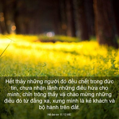 Picture 03 - Hê-bơ-rơ 11:13 VIE - Hết thảy những người đó đều chết - Bible Verse Picture