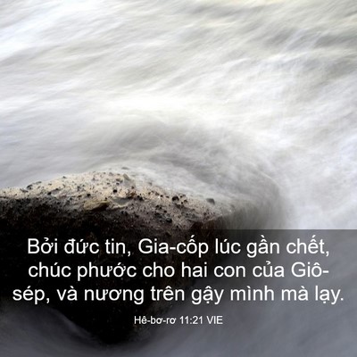 Picture 03 - Hê-bơ-rơ 11:21 VIE - Bởi đức tin, Gia-cốp lúc gần chết, - Bible Verse Picture