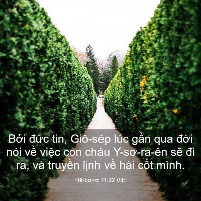 Picture 03 - Hê-bơ-rơ 11:22 VIE - Bởi đức tin, Giô-sép lúc gần qua đời - Bible Verse Picture