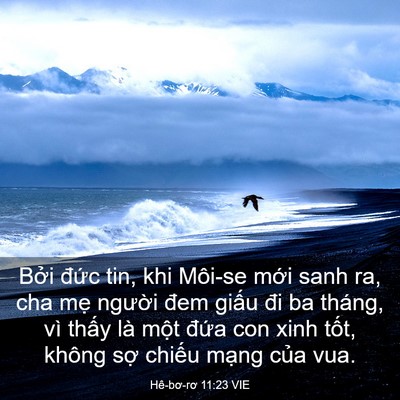 Picture 03 - Hê-bơ-rơ 11:23 VIE - Bởi đức tin, khi Môi-se mới sanh ra, cha - Bible Verse Picture