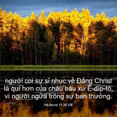 Picture 03 - Hê-bơ-rơ 11:26 VIE - người coi sự sỉ nhục về Đấng Christ - Bible Verse Picture