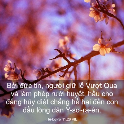Picture 03 - Hê-bơ-rơ 11:28 VIE - Bởi đức tin, người giữ lễ Vượt Qua - Bible Verse Picture