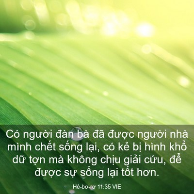 Picture 03 - Hê-bơ-rơ 11:35 VIE - Có người đàn bà đã được người - Bible Verse Picture