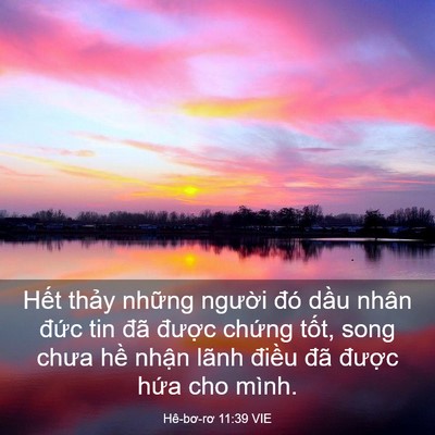 Picture 03 - Hê-bơ-rơ 11:39 VIE - Hết thảy những người đó dầu nhân - Bible Verse Picture