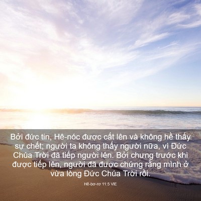Picture 03 - Hê-bơ-rơ 11:5 VIE - Bởi đức tin, Hê-nóc được cất lên - Bible Verse Picture