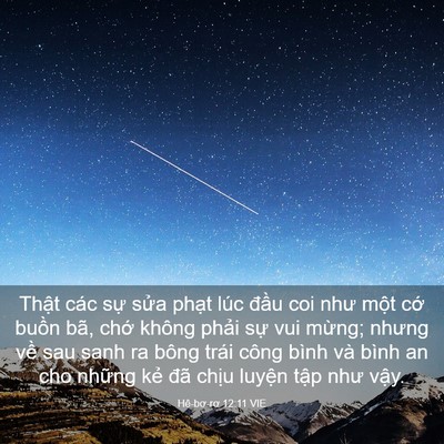 Picture 03 - Hê-bơ-rơ 12:11 VIE - Thật các sự sửa phạt lúc đầu coi - Bible Verse Picture